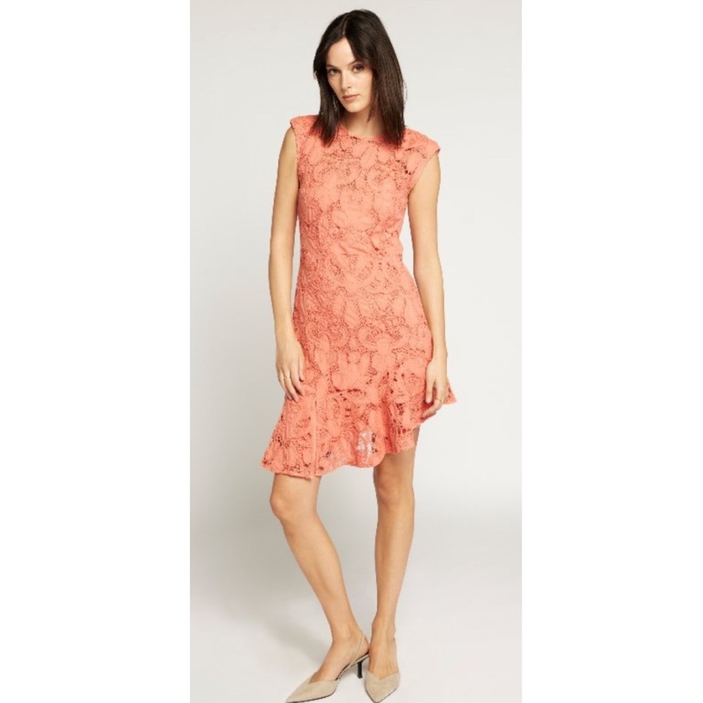 Joie Chantelle Eyelet Dress. - Picture 3 of 11